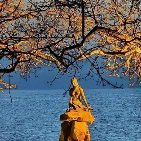 La Dimora Di Rosa